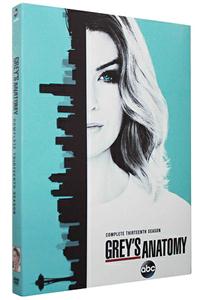 Grey's Anatomy season 13 DVD Box Set