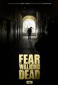 Fear The Walking Dead season 1-4 DVD Box Set