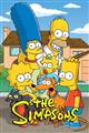 The Simpsons Season 29 DVD Box Set