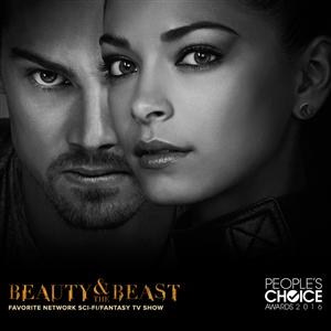 Beauty and the Beast(2012) Season 1-4 DVD Box Set