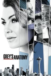 Grey's Anatomy Season 1-15 DVD Box Set