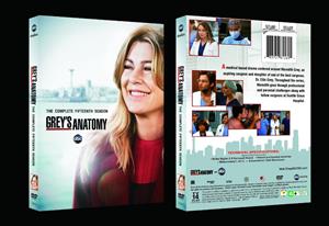 Grey's Anatomy Season 15 DVD Box Set