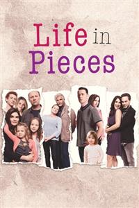 Life in Pieces Season 4 DVD Set