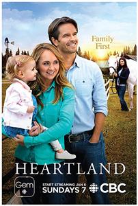 Heartland Season 12 DVD Set