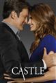 Castle Season 1-8 DVD Box Set