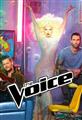 The Voice (US)  Season 8  DVD Box Set