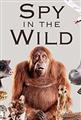 Spy in the Wild Season 1 DVD Box Set