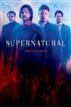 Supernatural Season 1-13 DVD Box Set