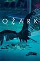 Ozark Season 1-2 DVD Box Set