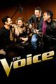 The Voice (U.S.) Season 1-14 DVD Set