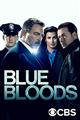 Blue Bloods Season 1-9 DVD Box Set
